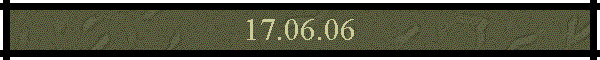 17.06.06