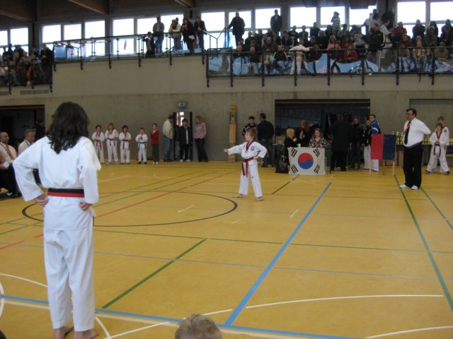 turnierinhaltern7.jpg