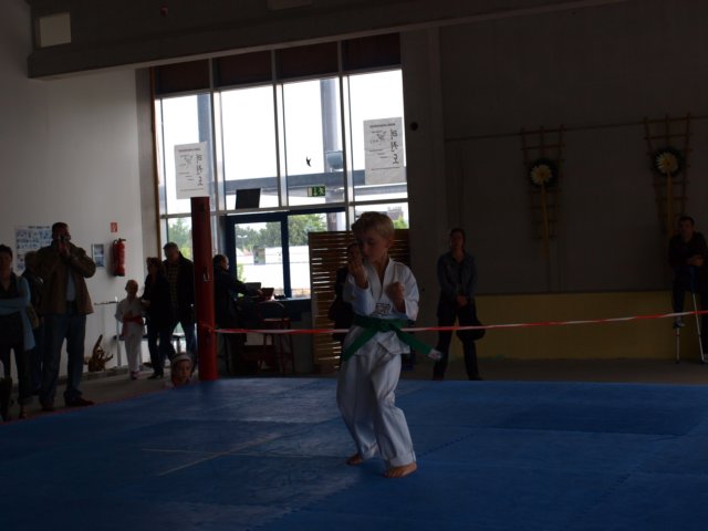 schulmeisterschaft060620098.jpg