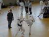 herten2703101_small.jpg
