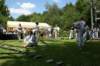 vorfuehrung3005200918_small.jpg