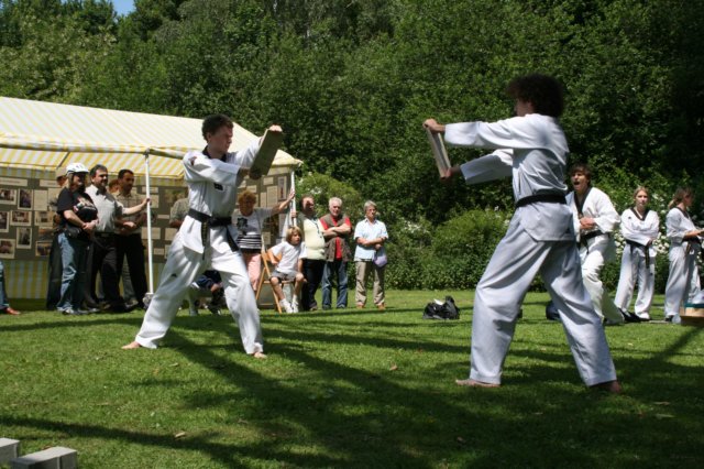 vorfuehrung3005200927.jpg